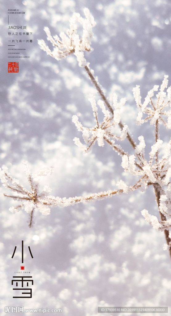 小雪