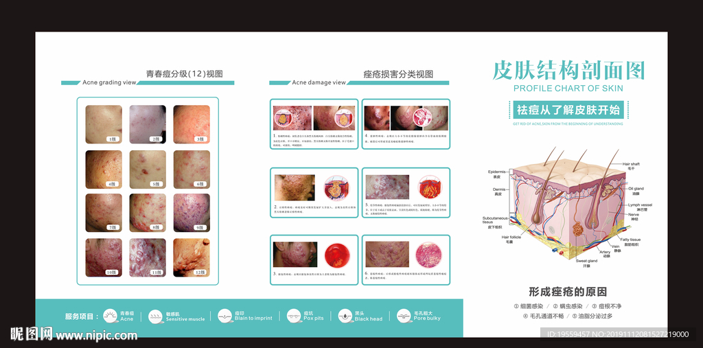 分级图+皮肤分析图