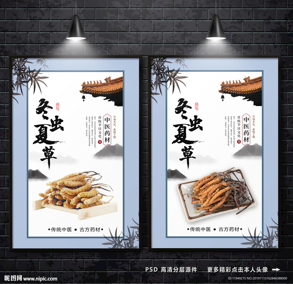 冬虫夏草广告 虫草海报 药材