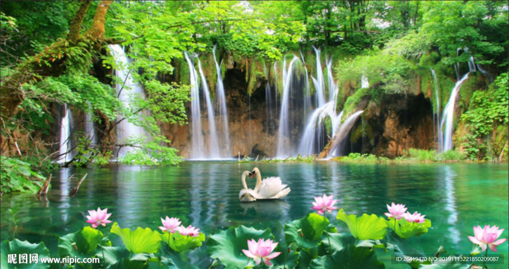 瀑布 天鹅 荷花 水池 湖 山