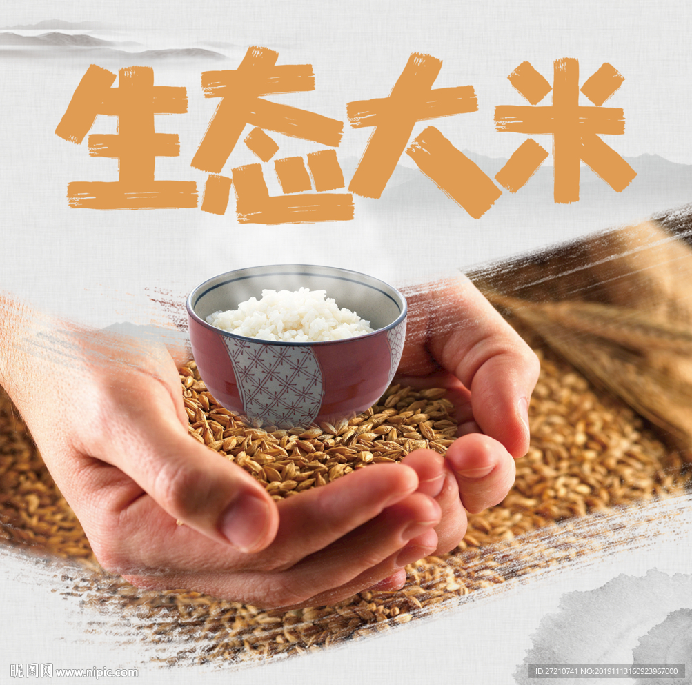 大米 胚芽米 有机大米 杂粮