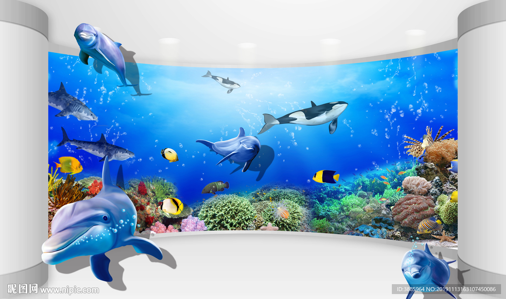 海底世界 海豚 海洋生物图片