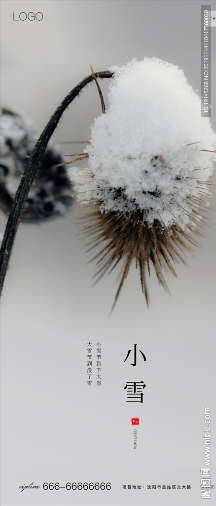 小雪