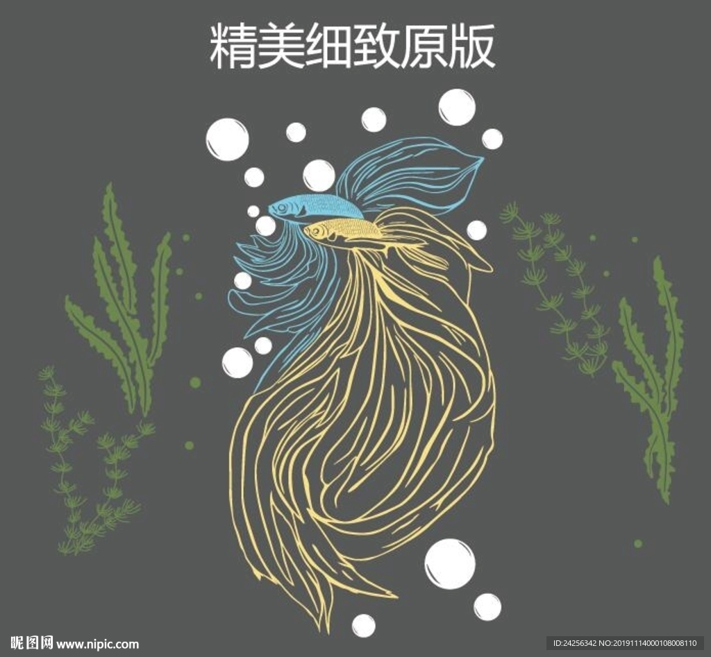 双鱼 原版 飞鱼 鱼