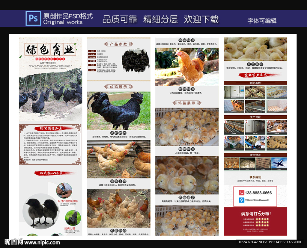 鸡苗详情页