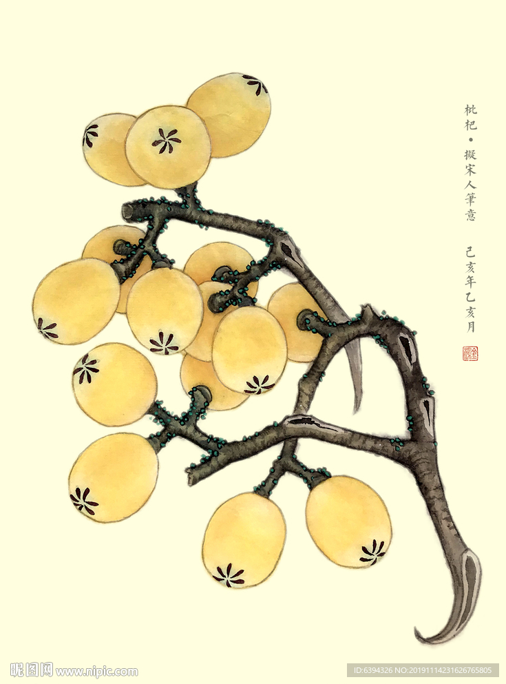 原创手绘枇杷素材