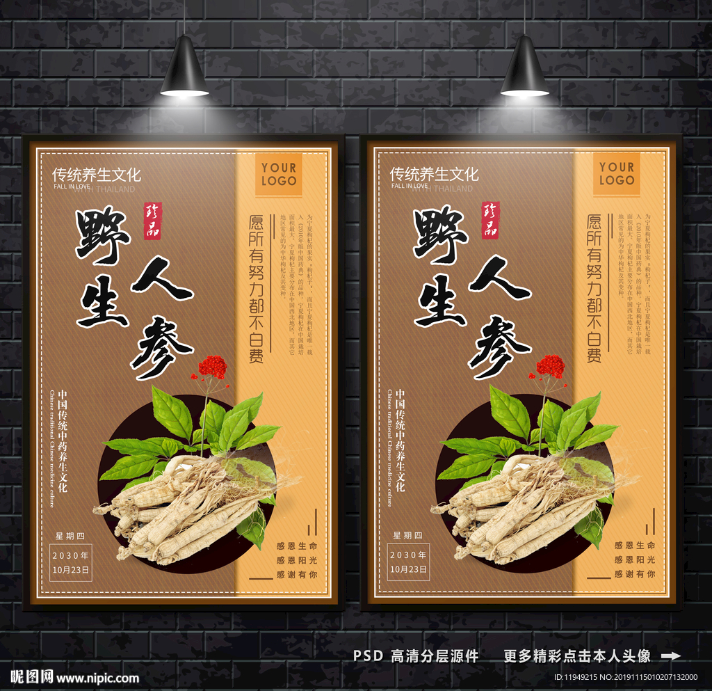 人参海报 野生人参 人参文化