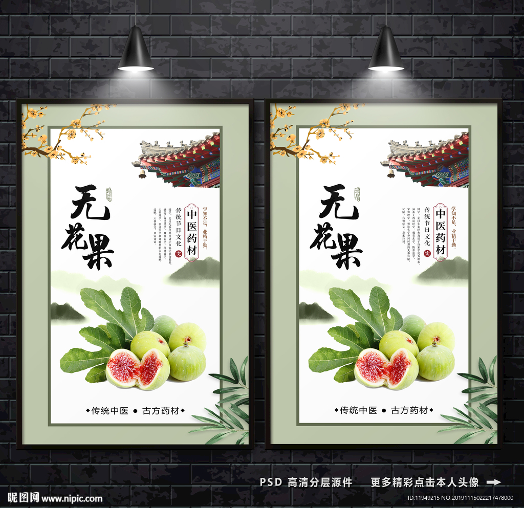 无花果海报 药材挂画 无花果
