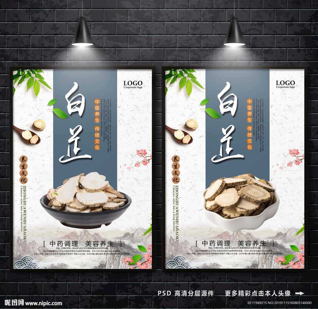 白芷海报 中医药材 中药白芷