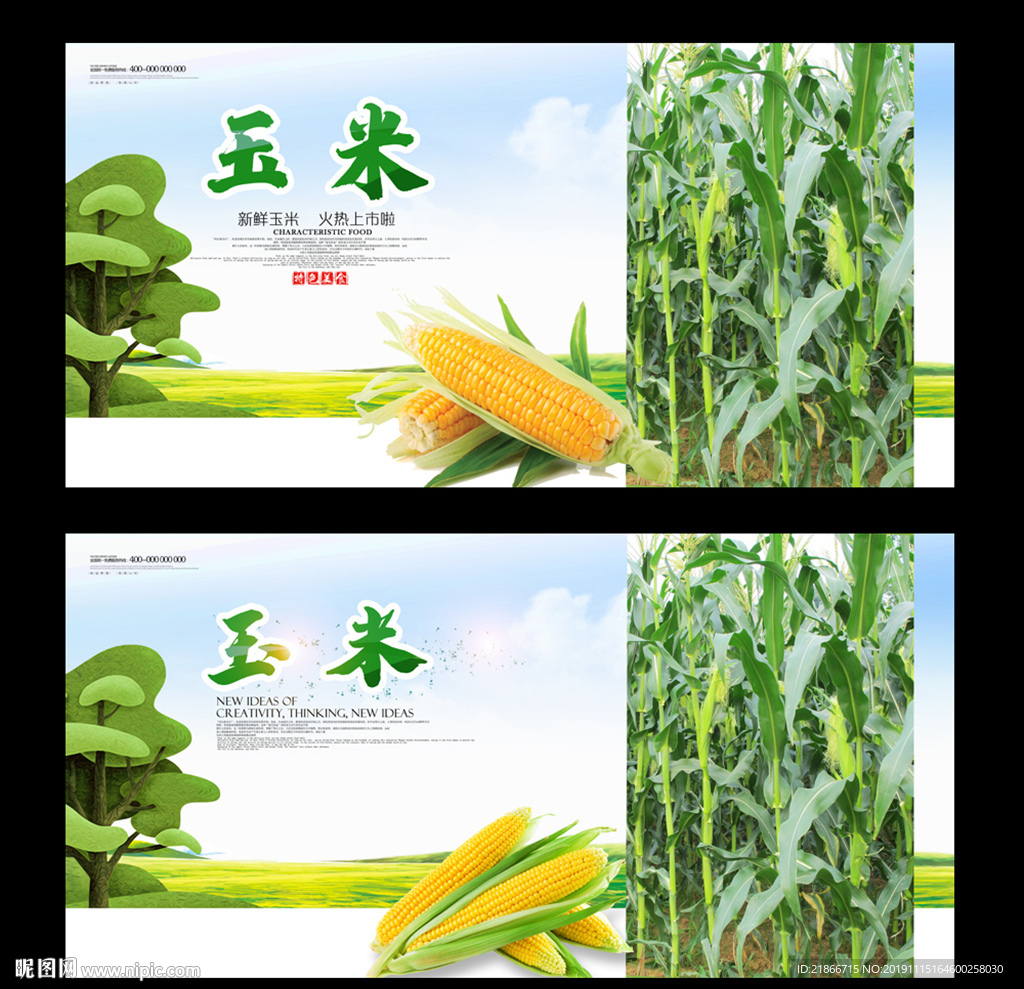 玉米