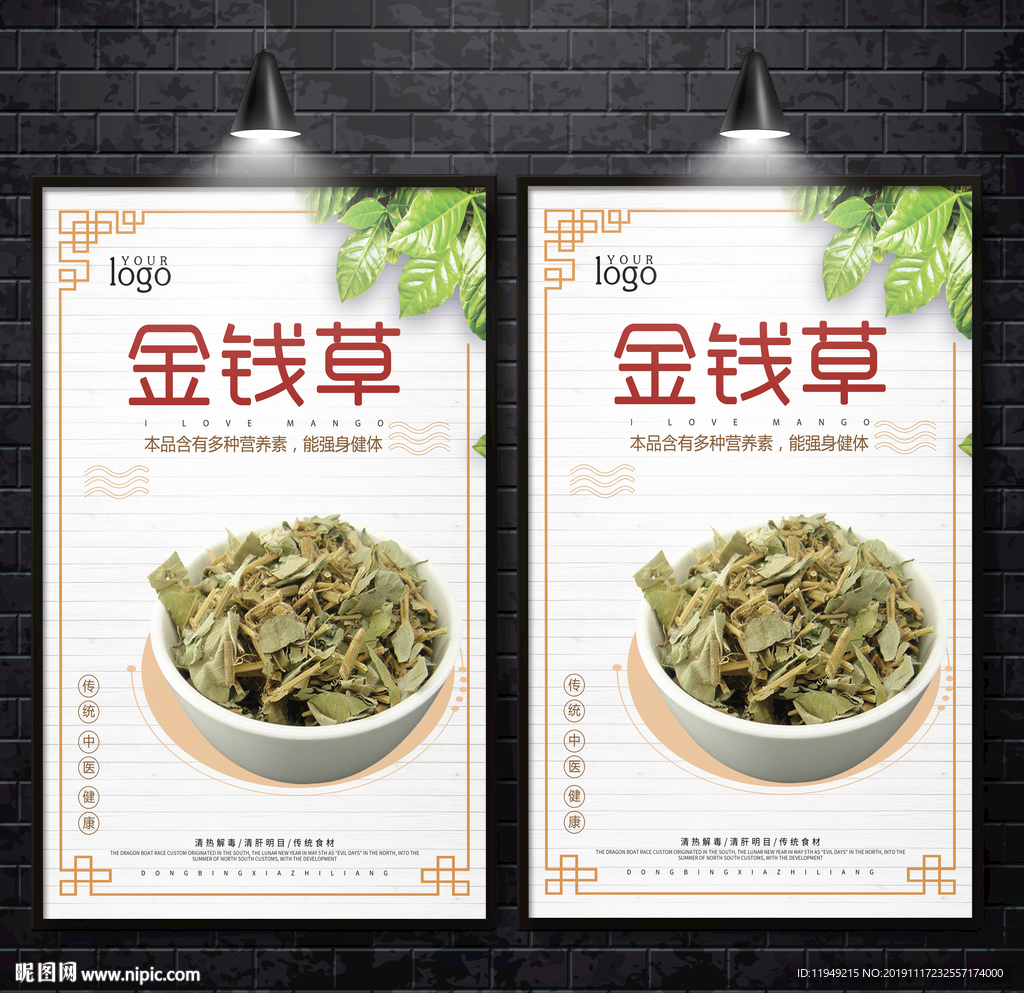 金钱草 落地金钱 金钱草海报