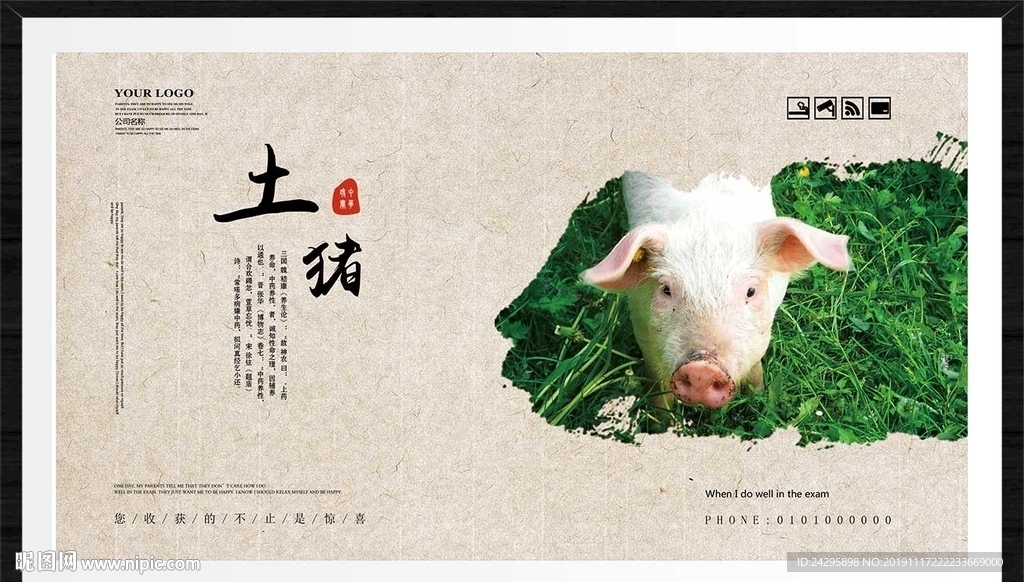 土猪