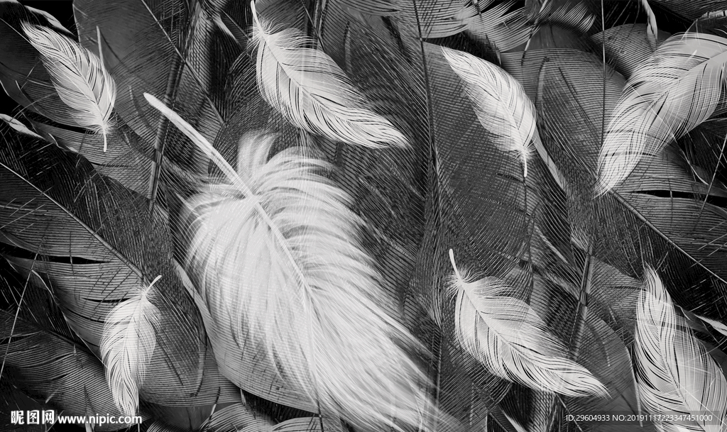 高档羽毛装饰画 TIF分层