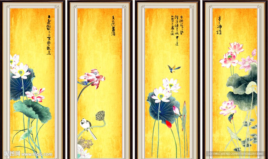 荷花