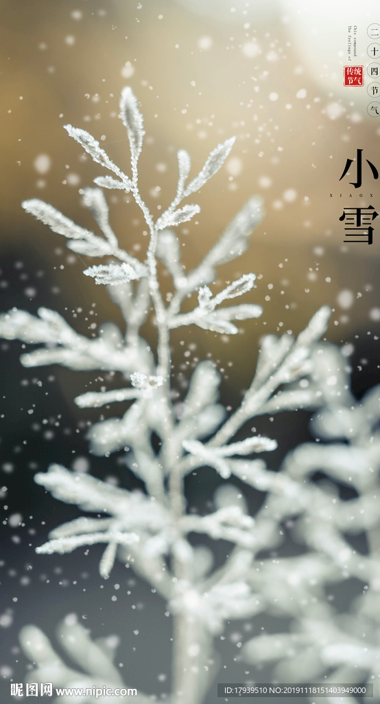 小雪