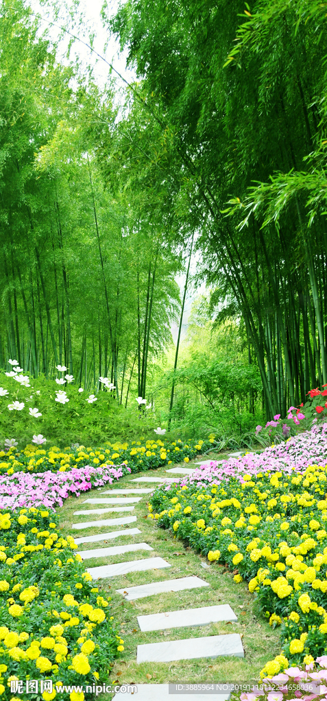 清新简约绿色竹林小道玄关图片