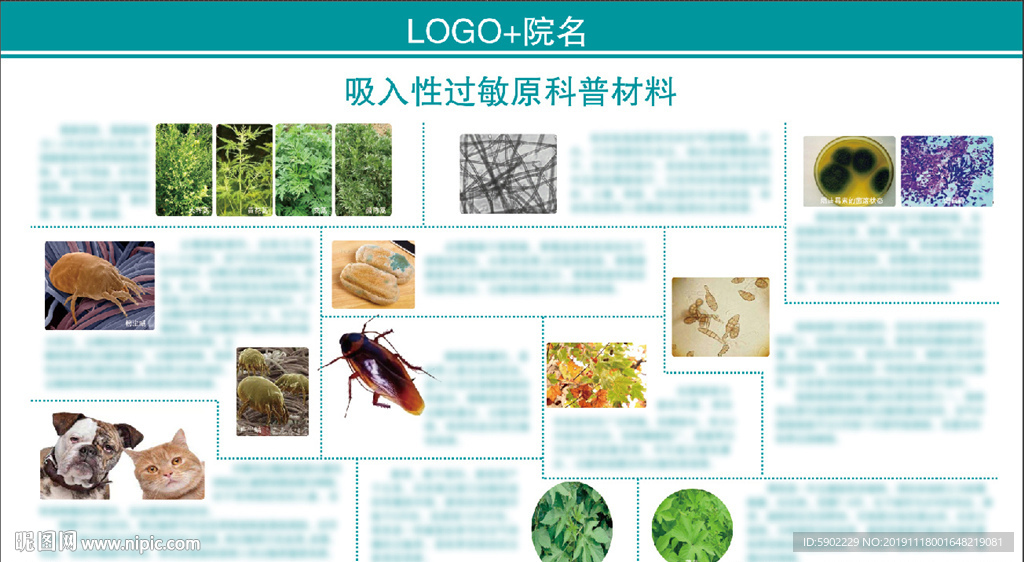 吸入性过敏原科普材料