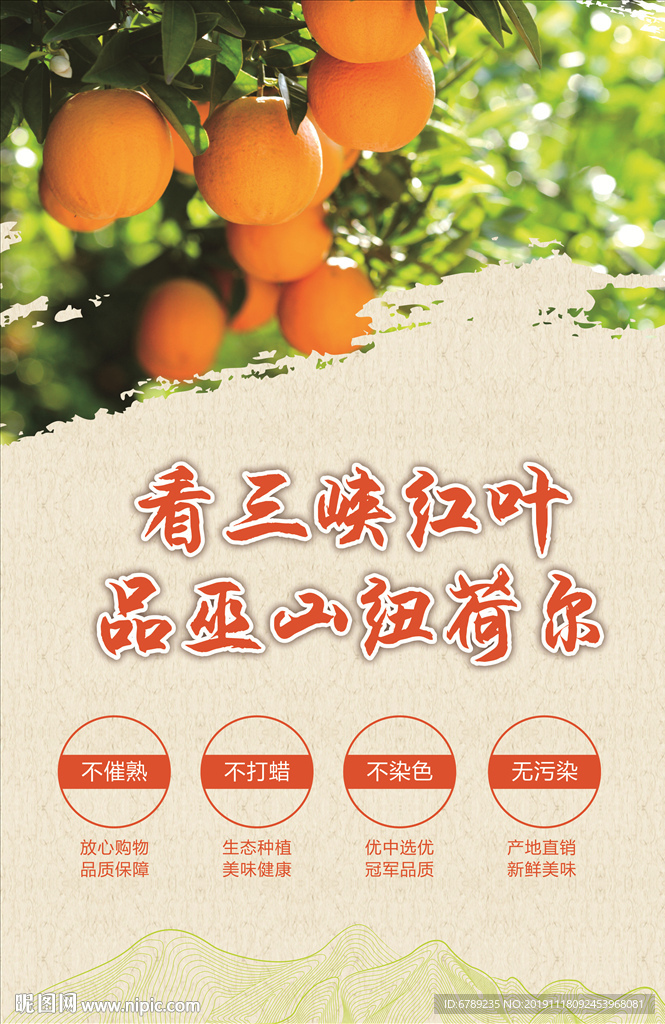 纽荷尔