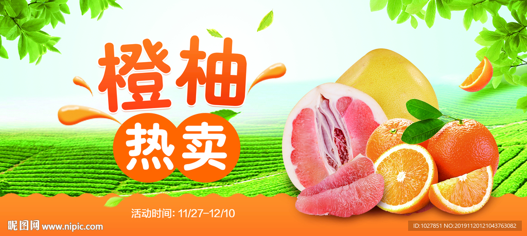 橙子 柚子 热卖