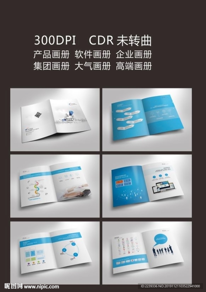 网络公司软件画册  企业画册