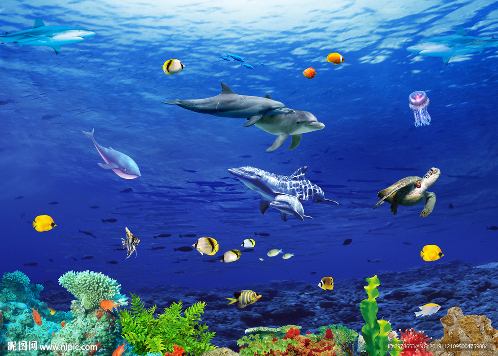 海底世界