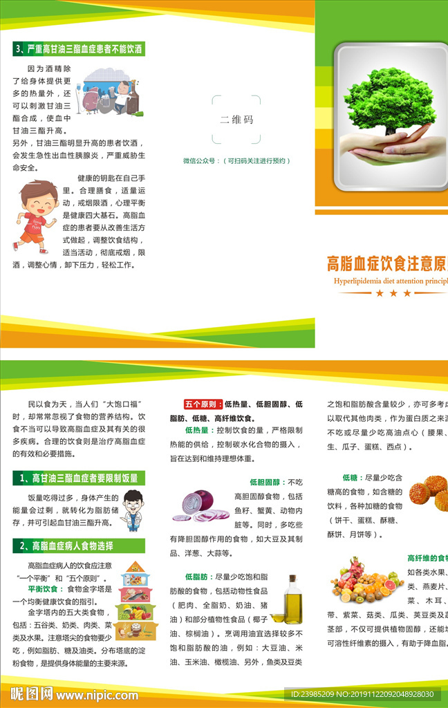 高脂血症三折页
