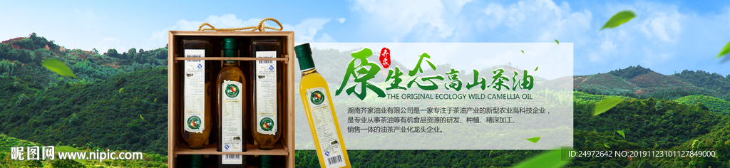 茶籽油海报