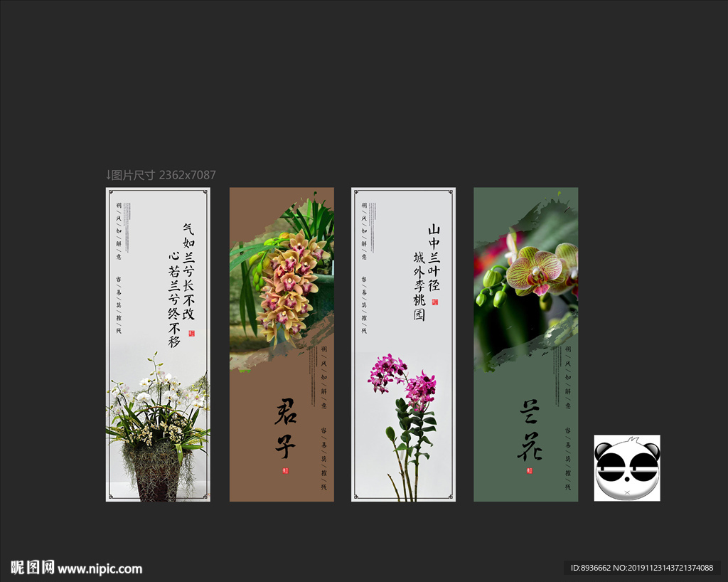 兰花