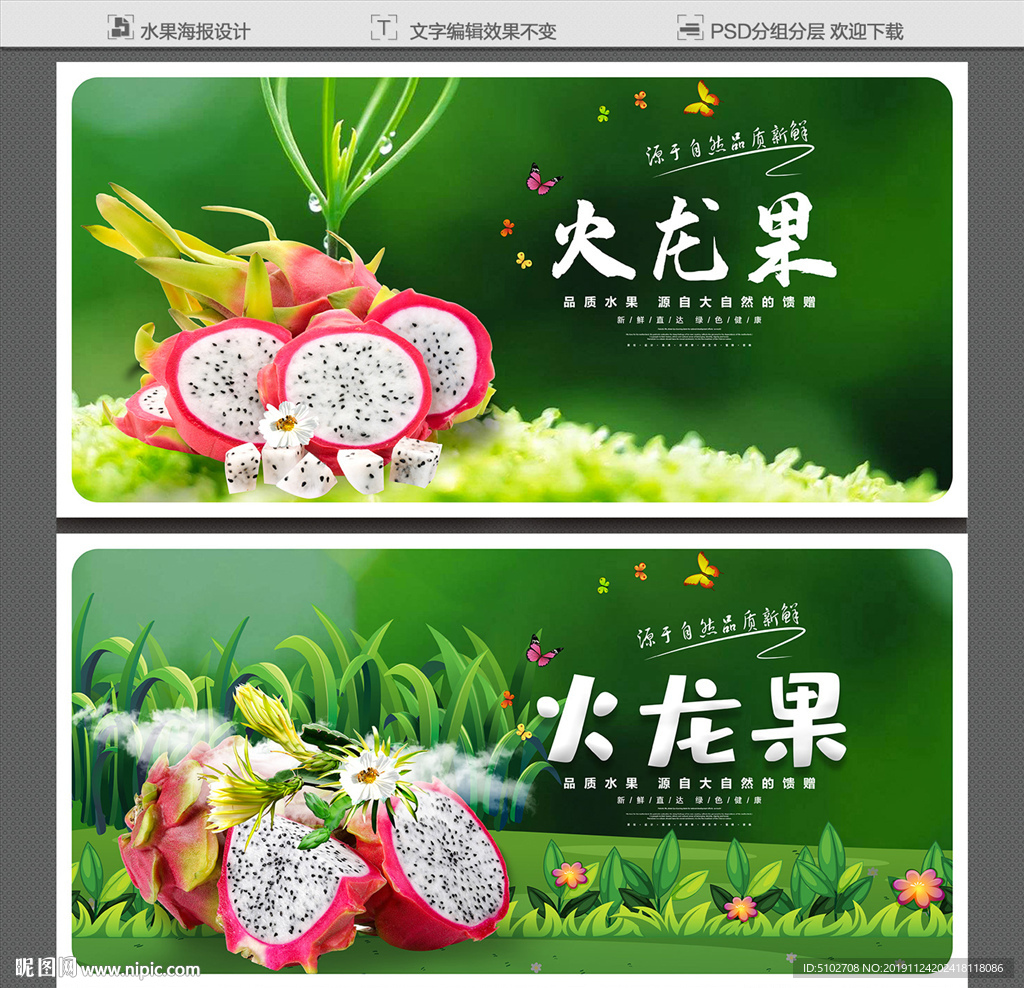 火龙果