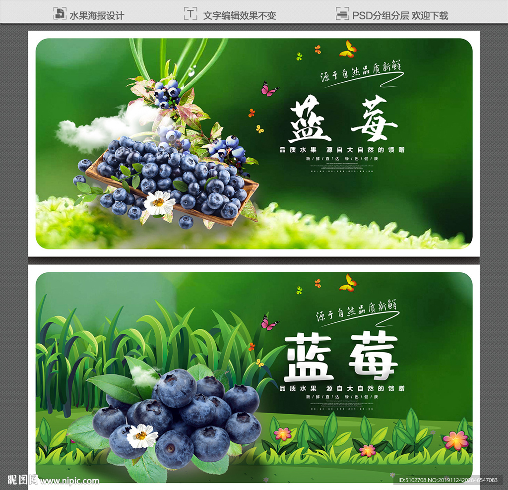 蓝莓