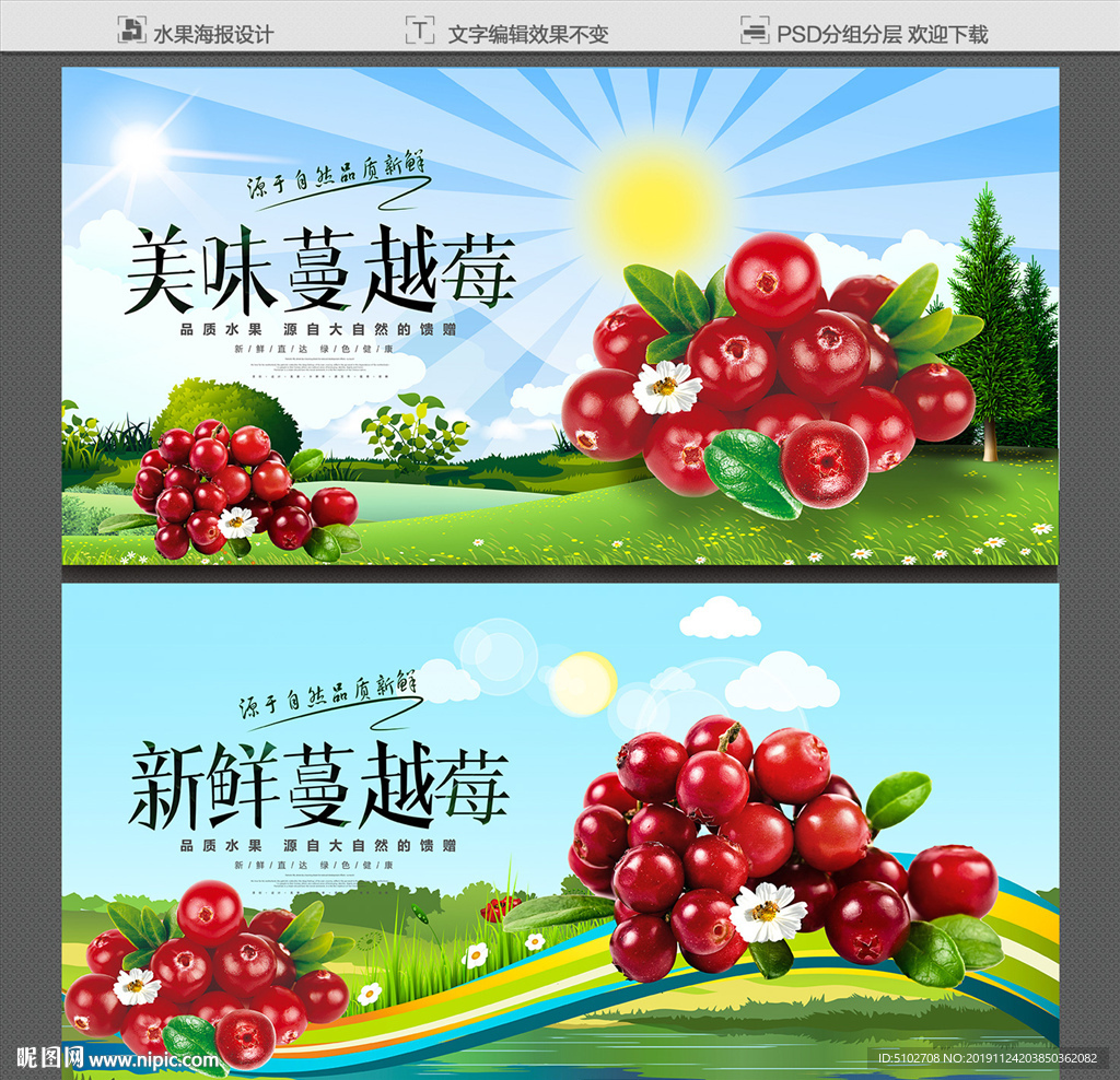 蔓越莓