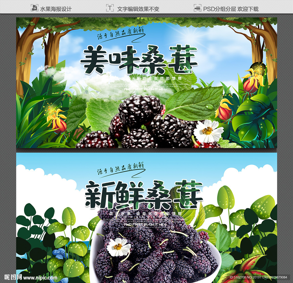 桑葚