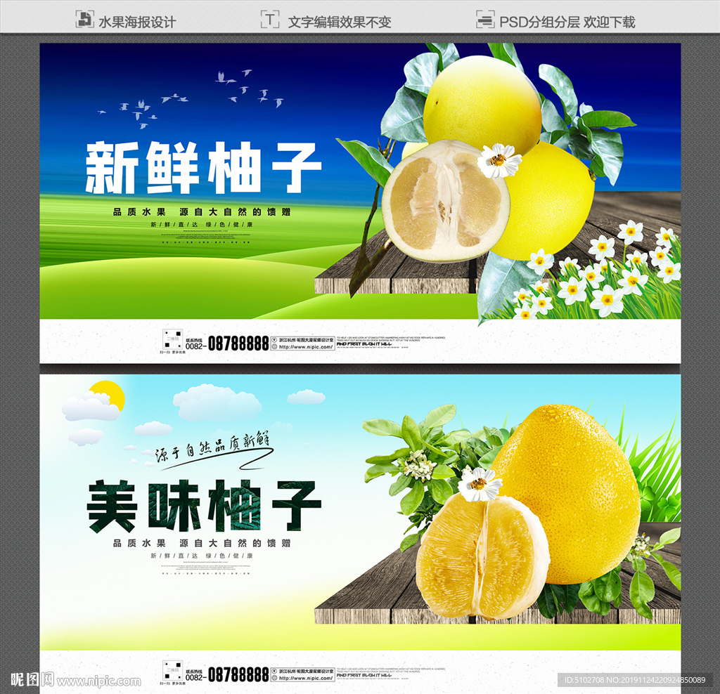柚子