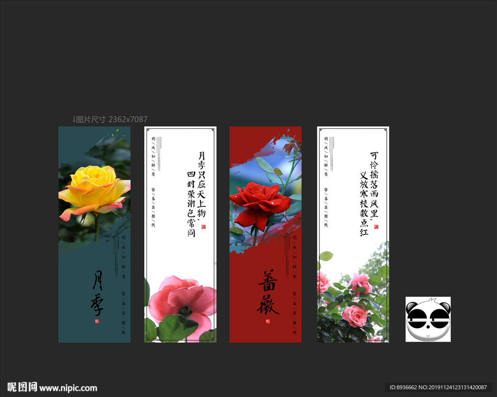 月季花