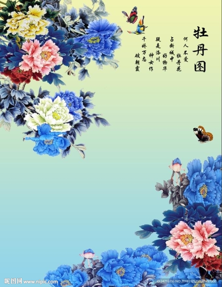牡丹图