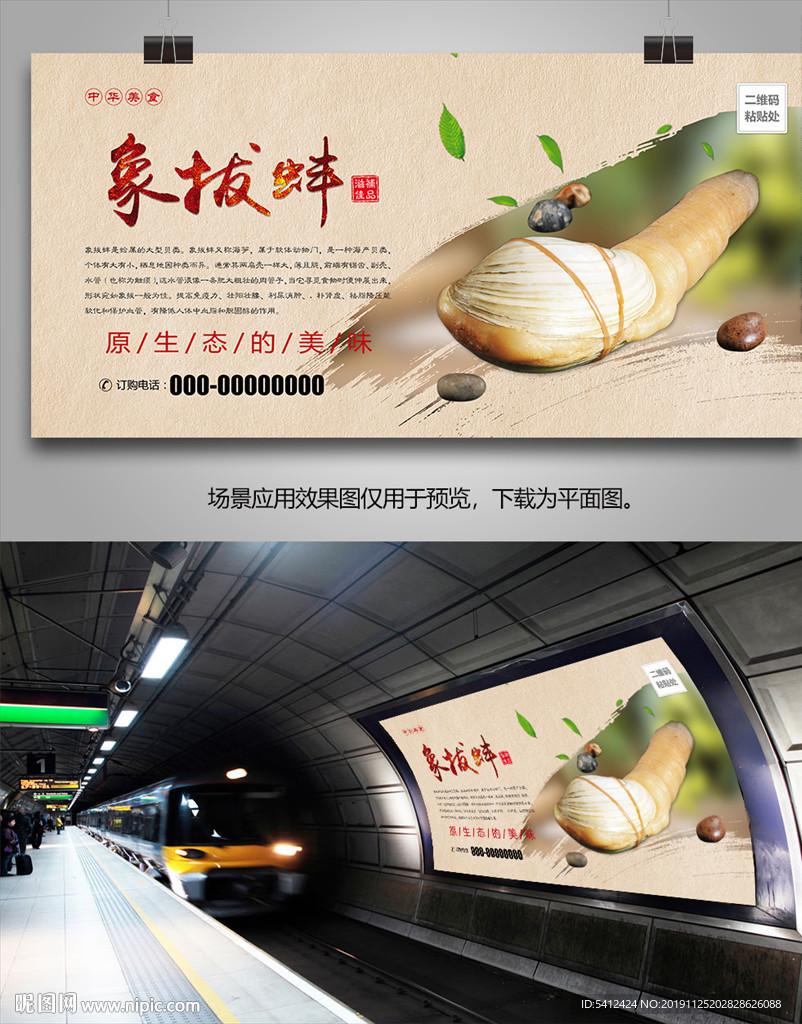 海鲜店象拔蚌海报灯箱展板展架