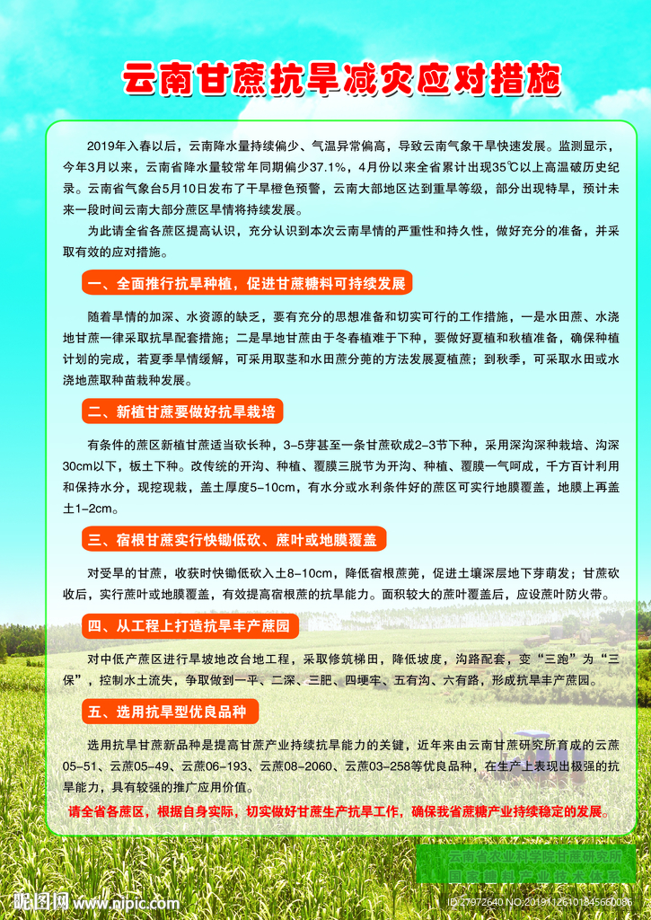云南甘蔗抗旱减灾应对措施