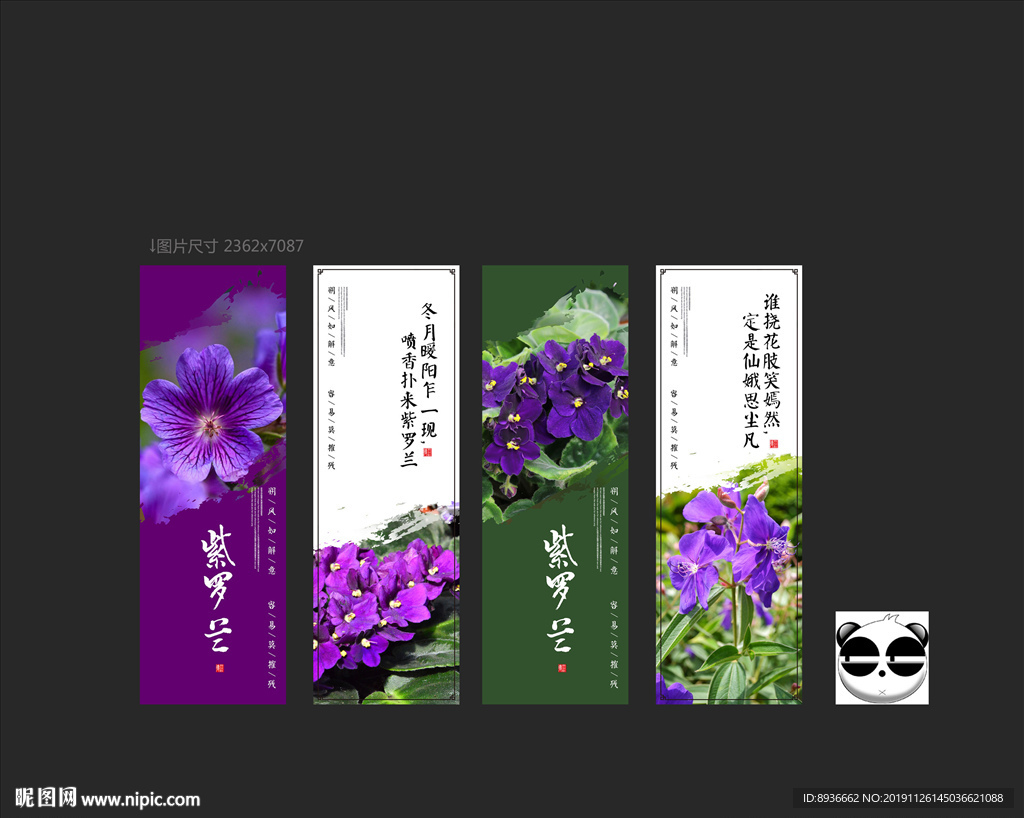 紫罗兰