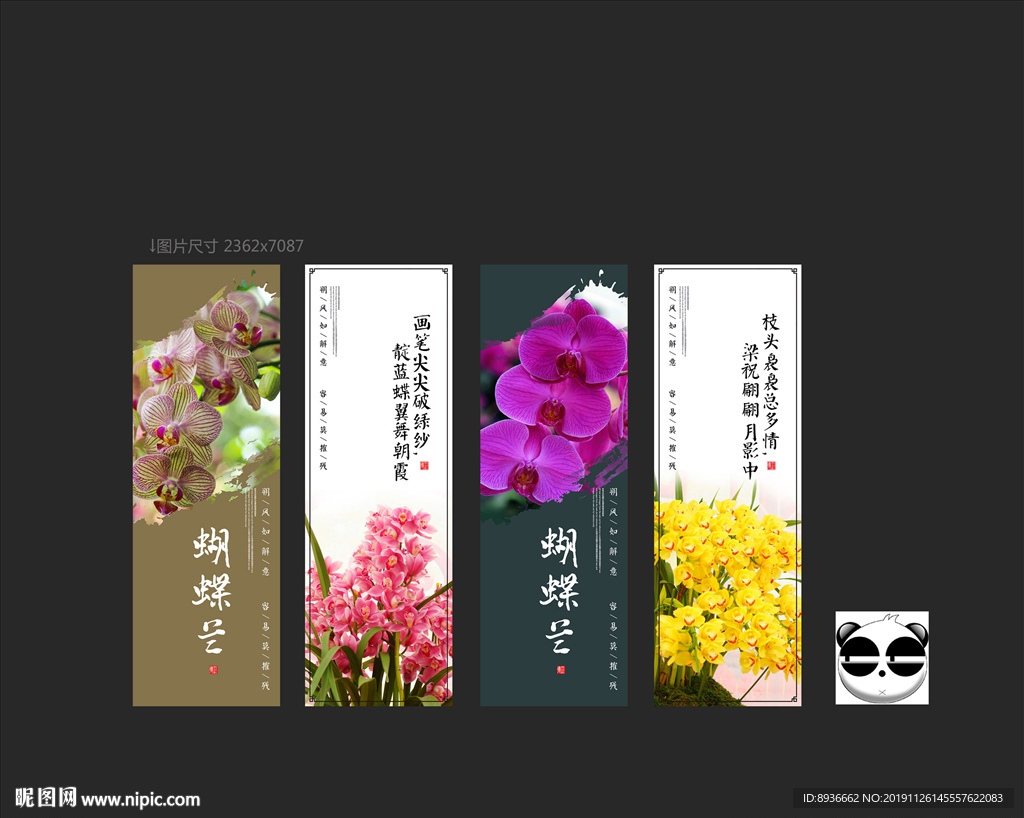 蝴蝶兰