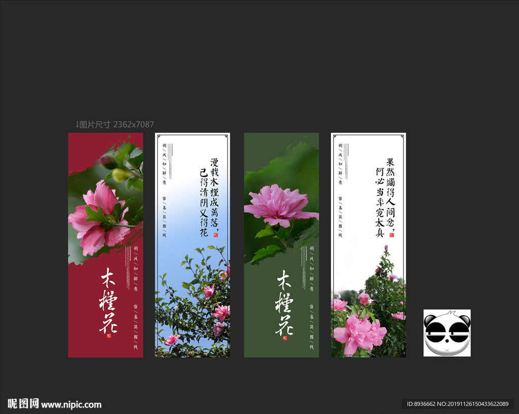 木槿
