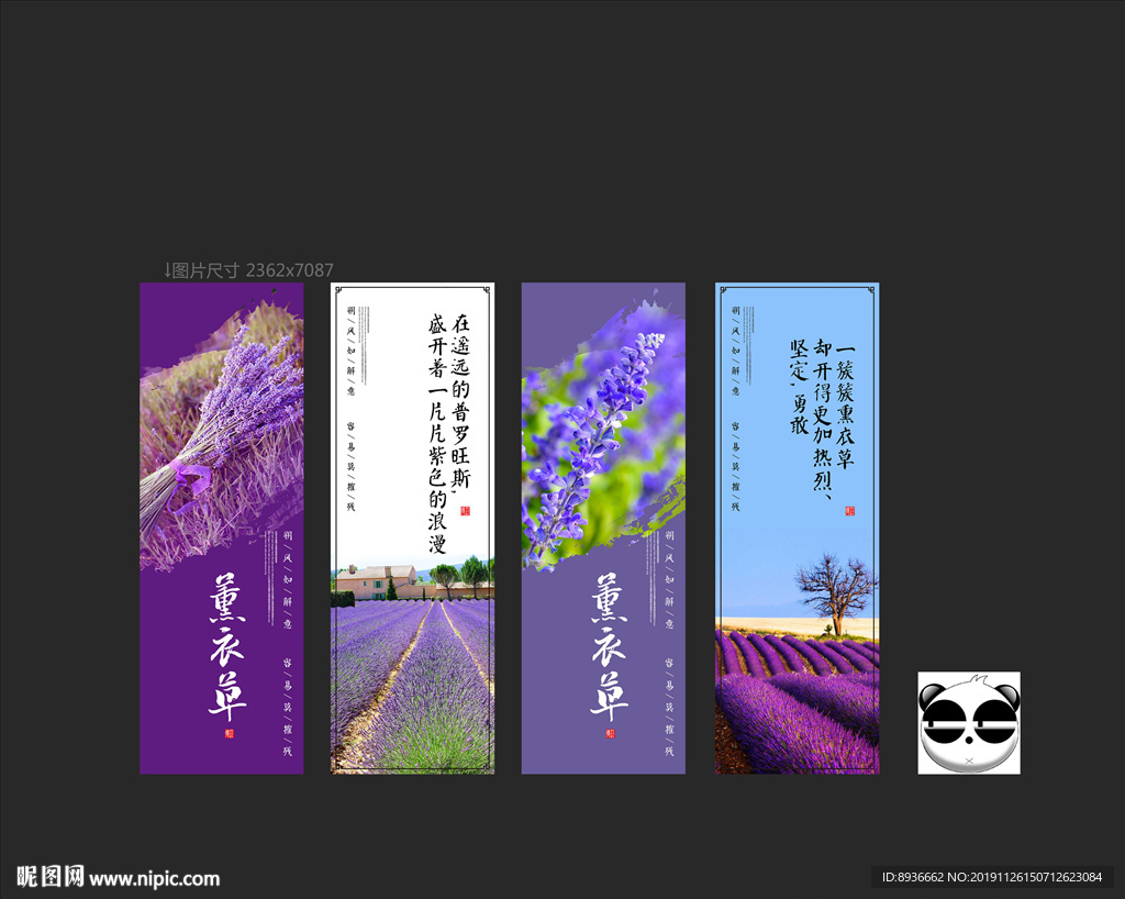 薰衣草