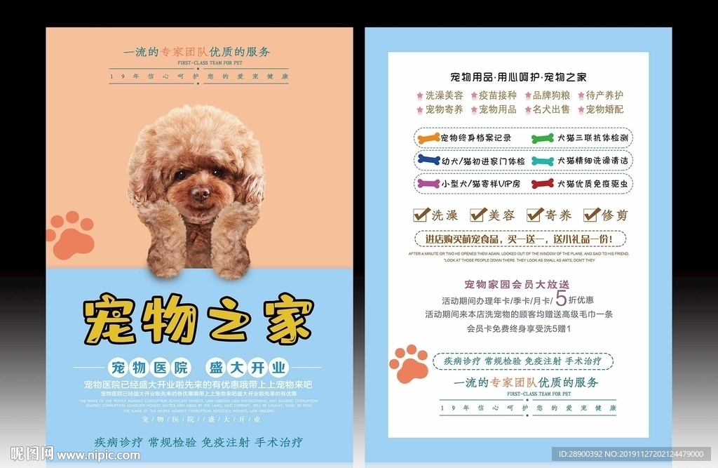 宠物宣传单