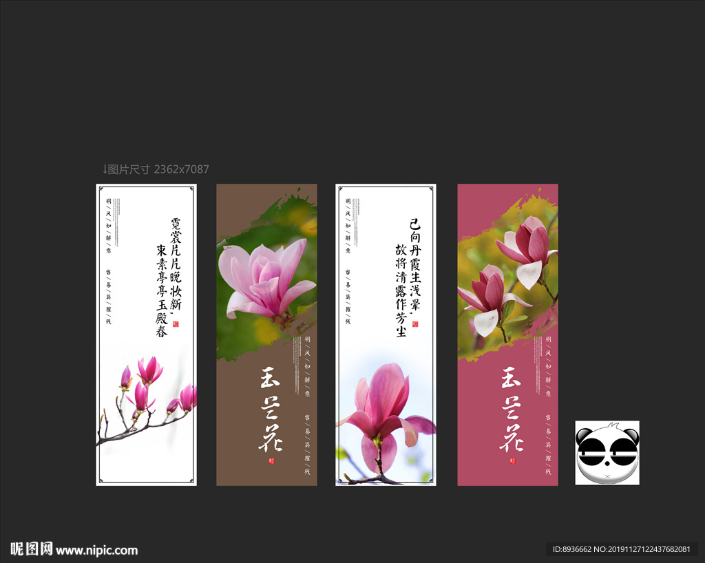 玉兰花
