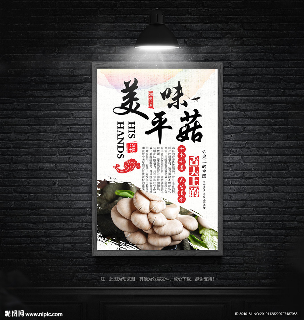 平菇