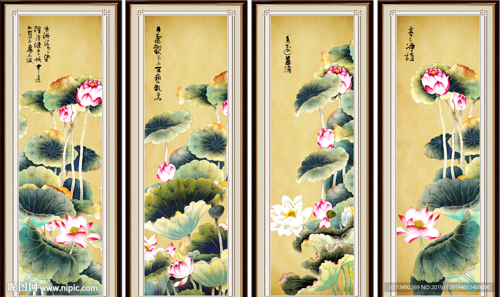 高清荷花