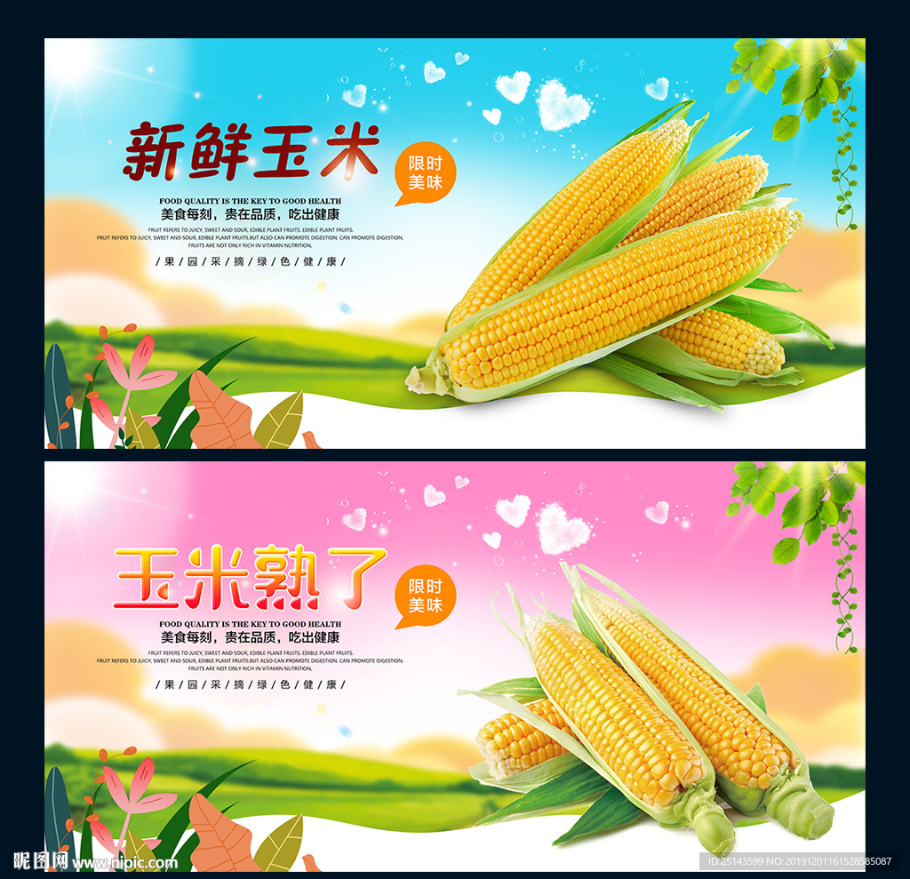 玉米
