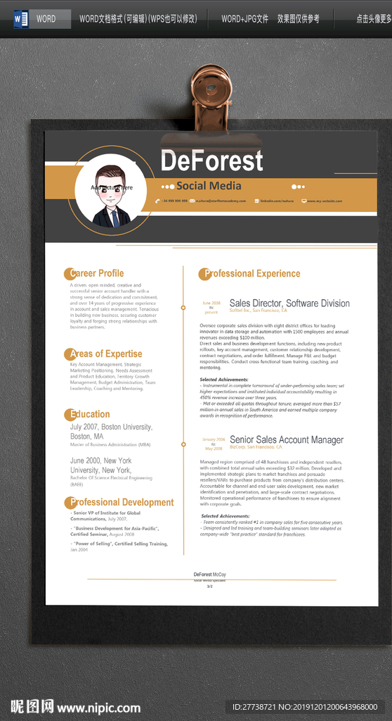 英文简历 英文WORD简历