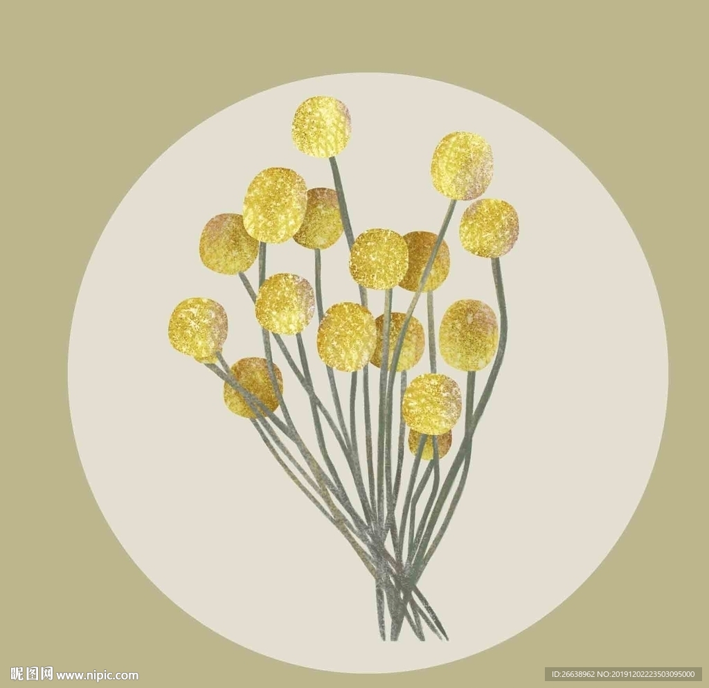 手绘植物插画