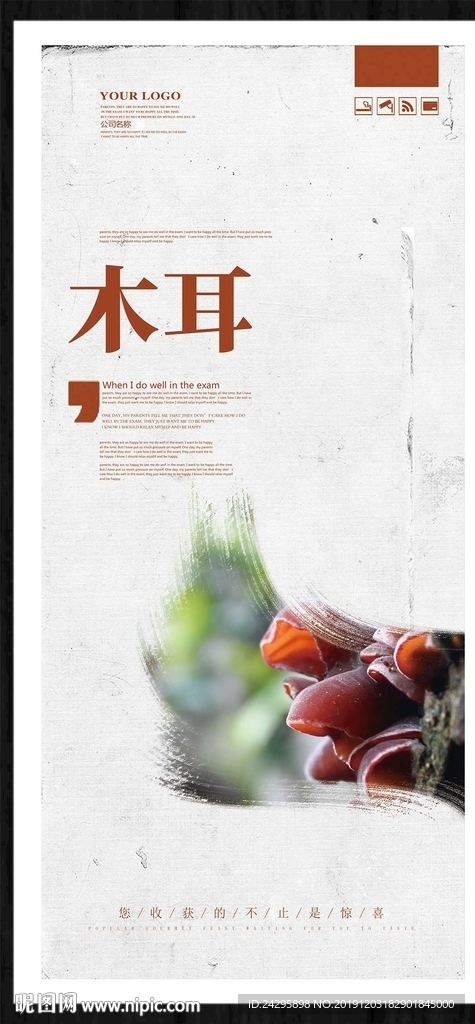 木耳