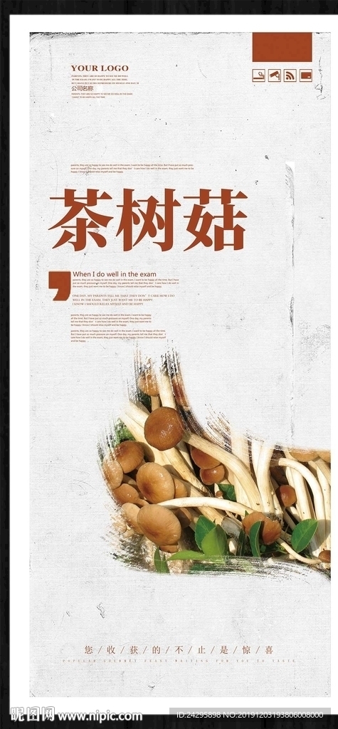 茶树菇
